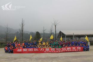 白城户外拓展指南 优选基地、专业机构与创新策划方案