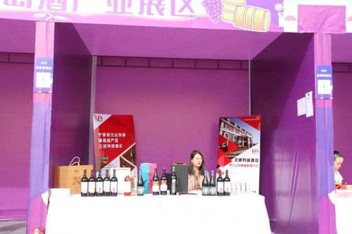 塞上珍品 云尚银川——宁夏特色农产品营销与阿里巴巴旗舰店上线活动盛大启幕