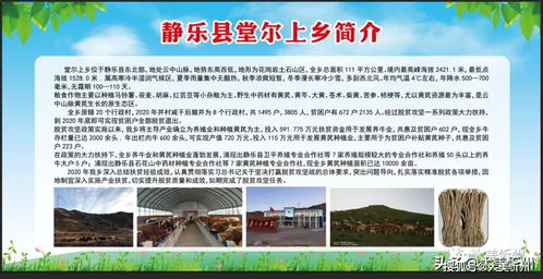 静乐县两乡特优农产品展销暨体验式拓展活动在古城南广场隆重启幕